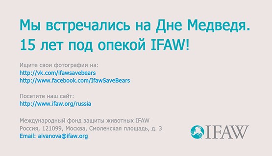 Полиграфия: Portfolio