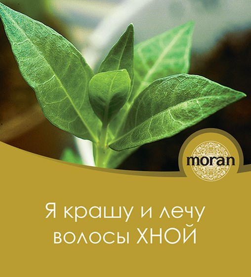 Полиграфия: Portfolio